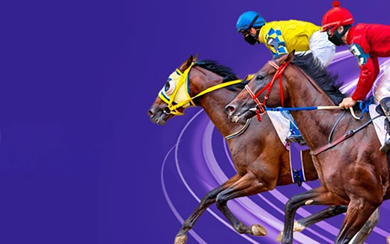 Horse racing fans will essentially appreciate the swanky bonus cashback from JeetWin Casino.