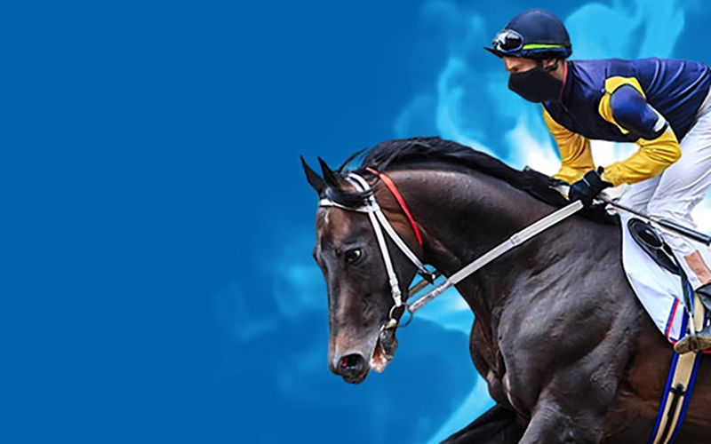 Make your horse racing bets even more exciting with a bonus from JeetWin Casino.